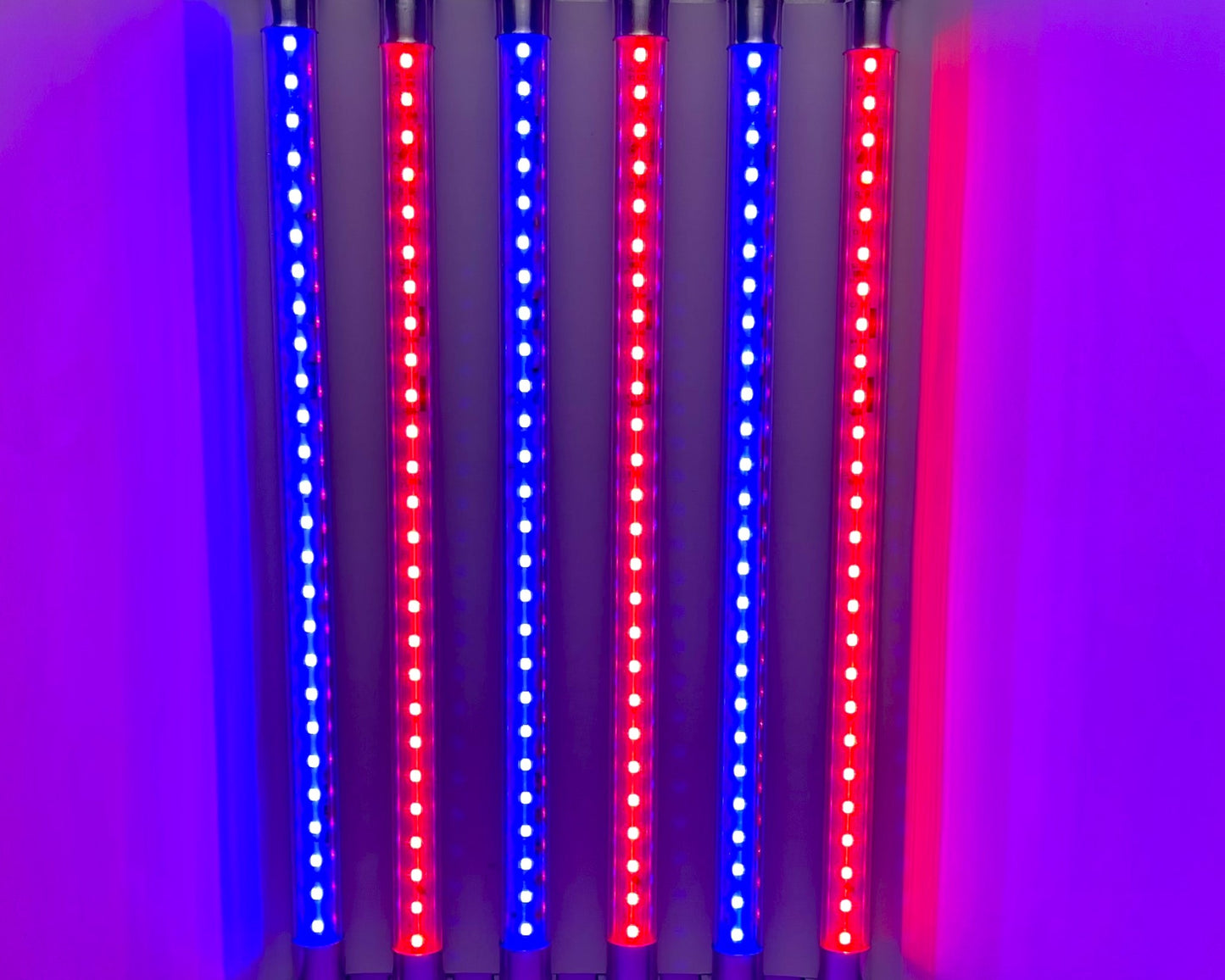 Expo Panels